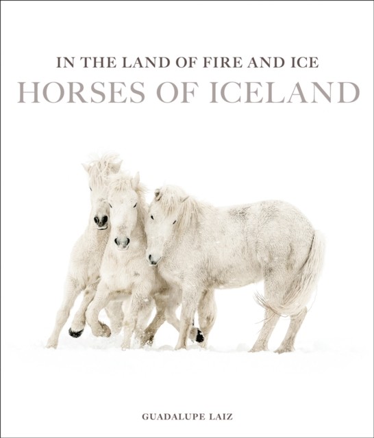 In The Land Of Fire & Ice