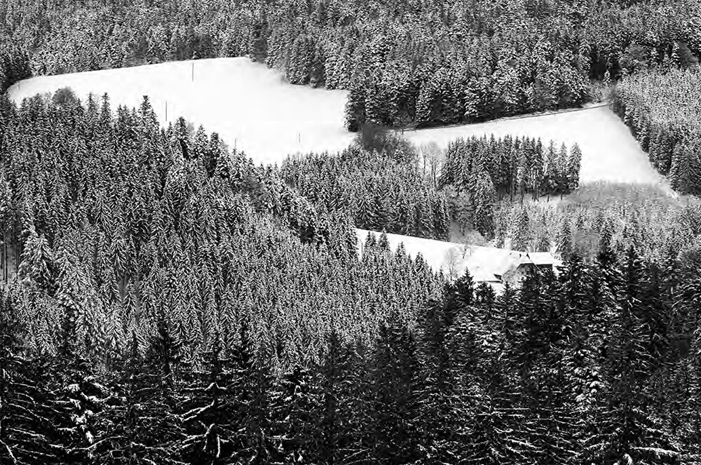 Thumbnail - Schwarz. Wald. Land., Joseph Carlson