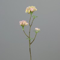 Bouvardienzweig 55Cm Rosa-Creme Ga Kunstblumen KüNstliche Bowardien Blumen