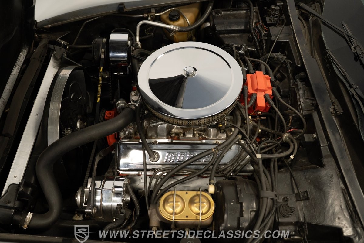 1978 SILVER Chevrolet Corvette   | C3 Corvette Photo 5