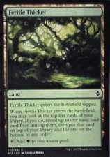Fertile Thicket - Battle for Zendikar: #237, Magic: The Gathering Lp C283