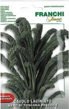 Franchi Seeds Curly Kale Cavolo Laciniato Nero di toscana Precoce seed