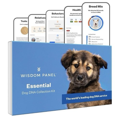 #ad Wisdom Panel Essential Dog DNA Kit: Most Accurate Test for 365 $84.88
