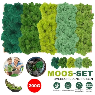 MARKENLOS 200g Künstliches Moos – Deko Moos,Bastelmoos,Kunstmoos zum Dekorieren Basteln 5X