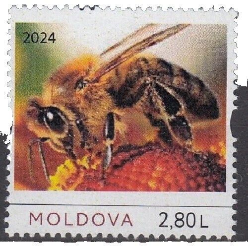 Celebridades sellos de Moldova