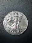 2020 American Silver Eagle perfect