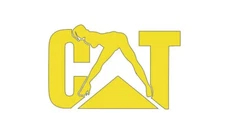 CAT WOMAN Vinyl Die Cut Decal Sticker Graphic Car Tractor Equipment Varios sizes