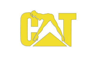 #ad CAT WOMAN Vinyl Die Cut Decal Sticker Graphic Car Tractor Equipment Varios sizes $34.70