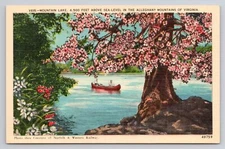 Mountain Lake 4500 Feet Above Sea Level in Alleghany Mountains VA Postcard