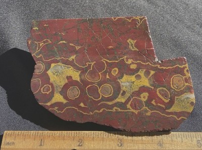 PILBARA JASPER STUNNING COLOR RARE ORBICULAR PATTERNS 144 GRAMS  AUSTRALIA