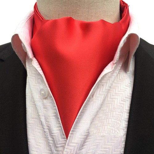 Men's Polka Dots Floral Flower Paisley Solid Ascot Ties Cravat Scarves HZ179 - Picture 17 of 20