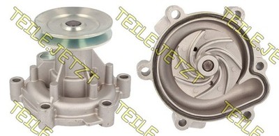 WASSERPUMPE FÜR DEUTZ MOTOR TD D TCD 2011 IN TEREX FUCHS SCHAEFF / LANGE WELLE