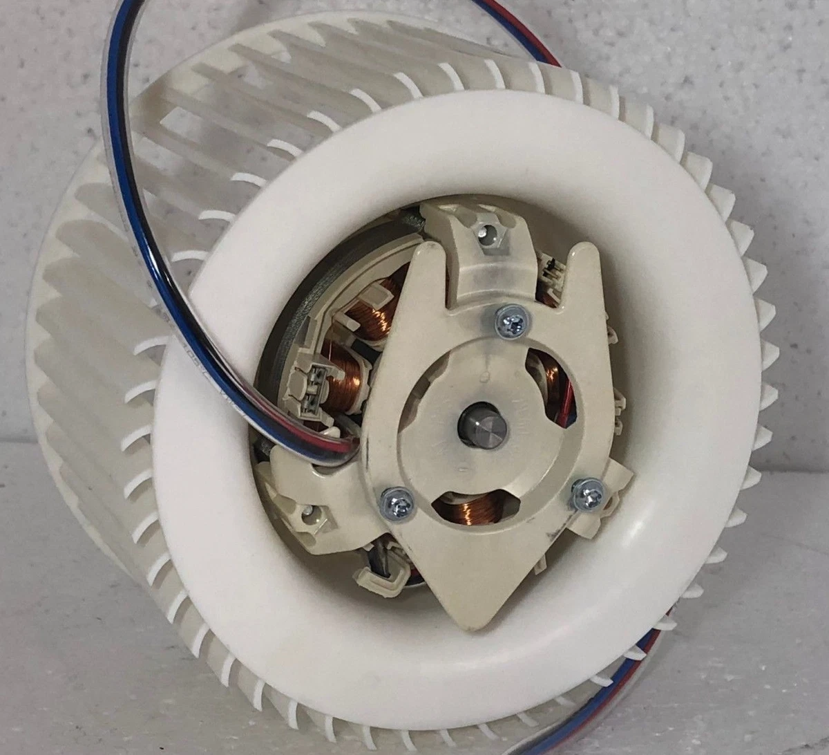 カーペンターGT-r200 グルグンカラー警戒色