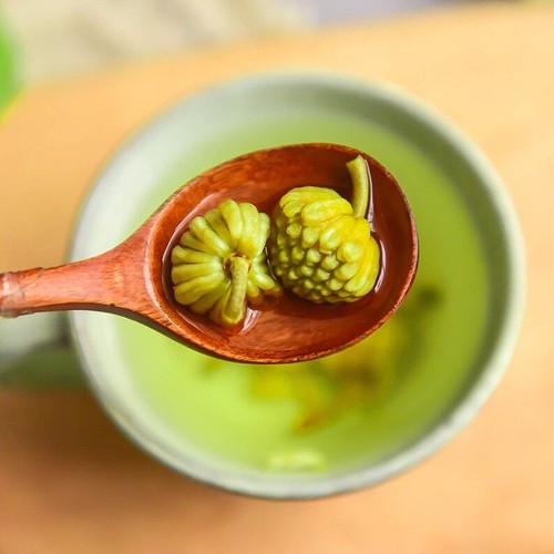 Dried Green Flower Scindapsus Aureus Edgeworthia Chrysantha Makes A Healthy Tea - Imagen 3 de 6