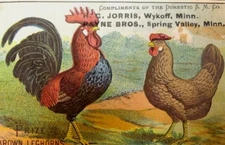 Domestic S.M Co Sewing Machines H.G Jorris Payne Bros. Prize Brown Leghorns D2