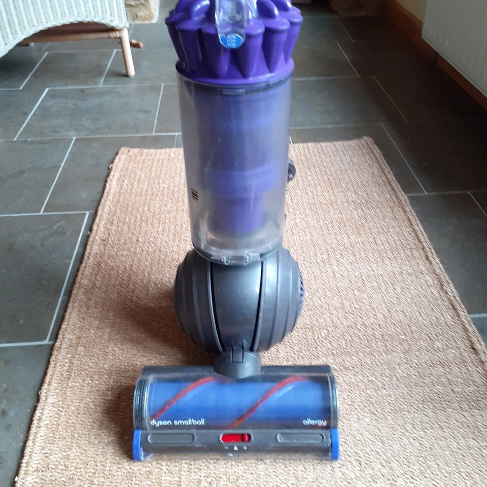 Dyson Small Ball Blau Bodenstaubsauger. UP22 Allergy