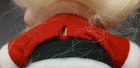 Bild 5 von 6