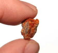 Amber Tree Sap Pitch - Dinosaur Age Fossil Hell Creek Formation Cretaceous NICE