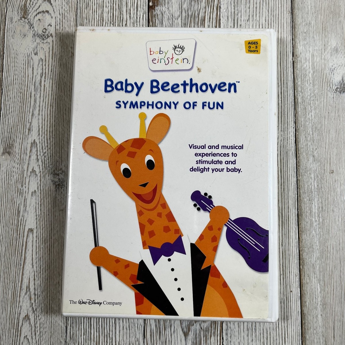 Baby Einstein Baby Beethoven Symphony of Fun DVD 2004 Early