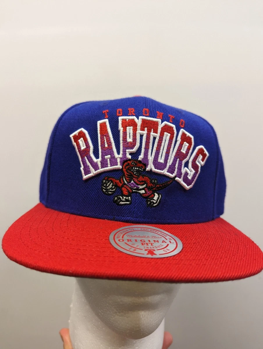 Classic deals raptors hat