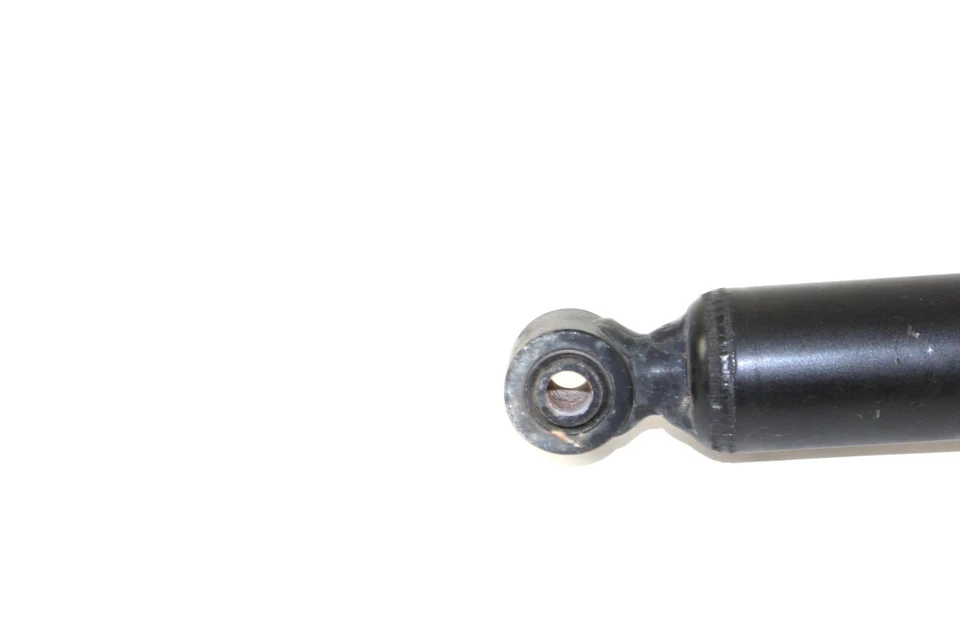 Amortiguador horquilla suspensión delantera BMW R1200R 2010 10 Foto 2 de 4