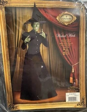 Wicked Witch Deluxe Woman's Costume by Incharacter + Cape, Socks, Gloves SMALL