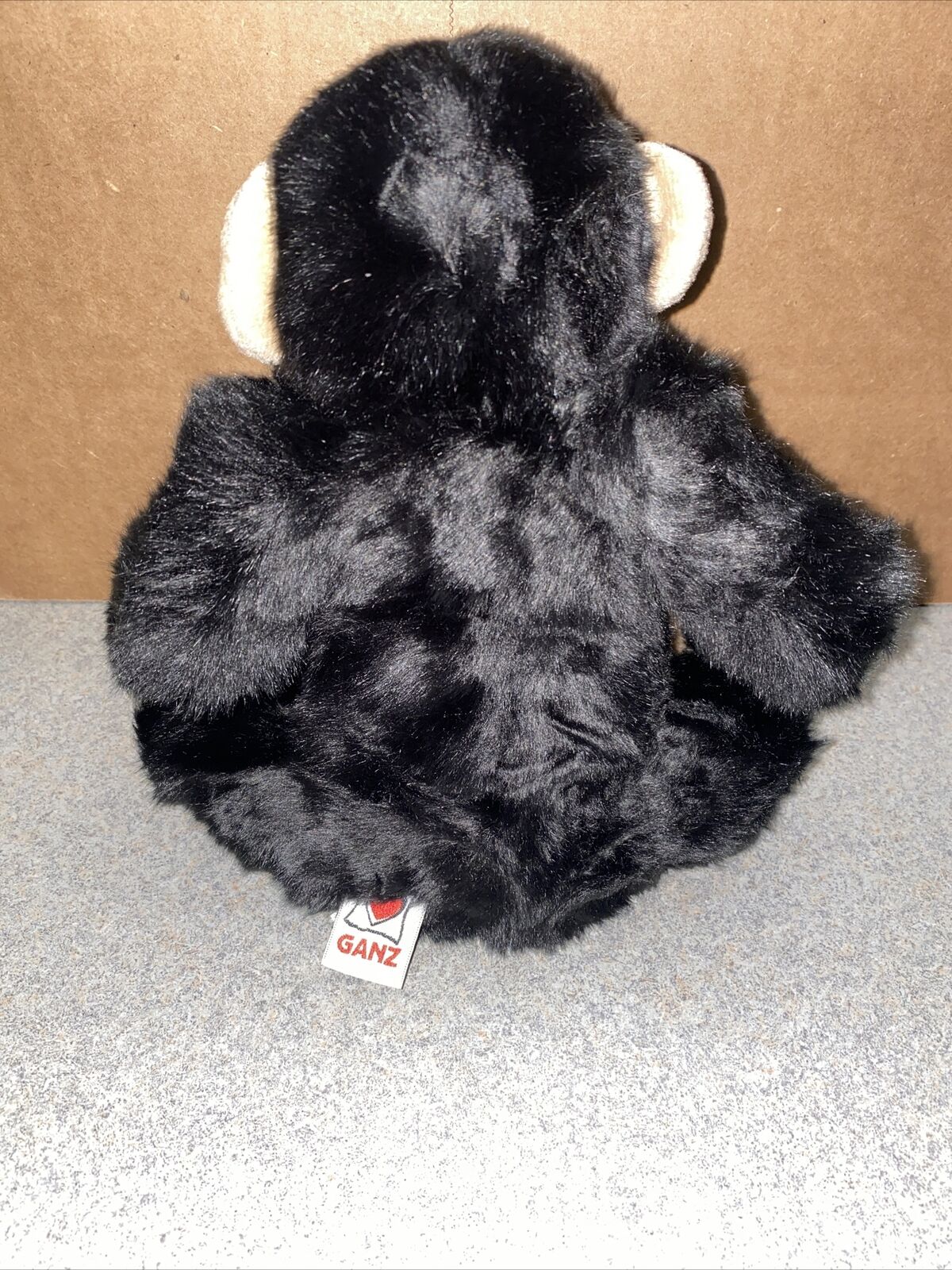 Picture 5 of 10
