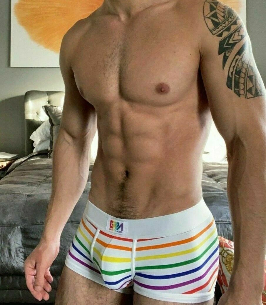 Garcon Model Boxer Trunk Chelsea Gay Pride Underwear Rainbow 2