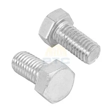 Fiero TORM-1/2X1 Bag with 40 1/2" x 1" machine screws