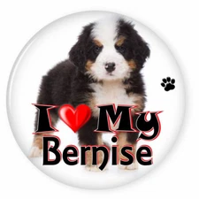  I LOVE MY BERNISE MOUNTAIN DOG PUPPY 3" PIN BACK BUTTON