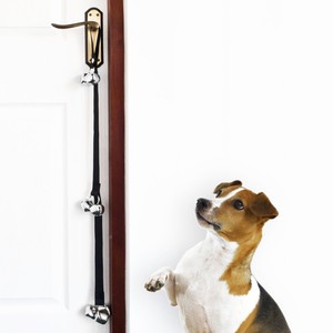 dog bathroom bell