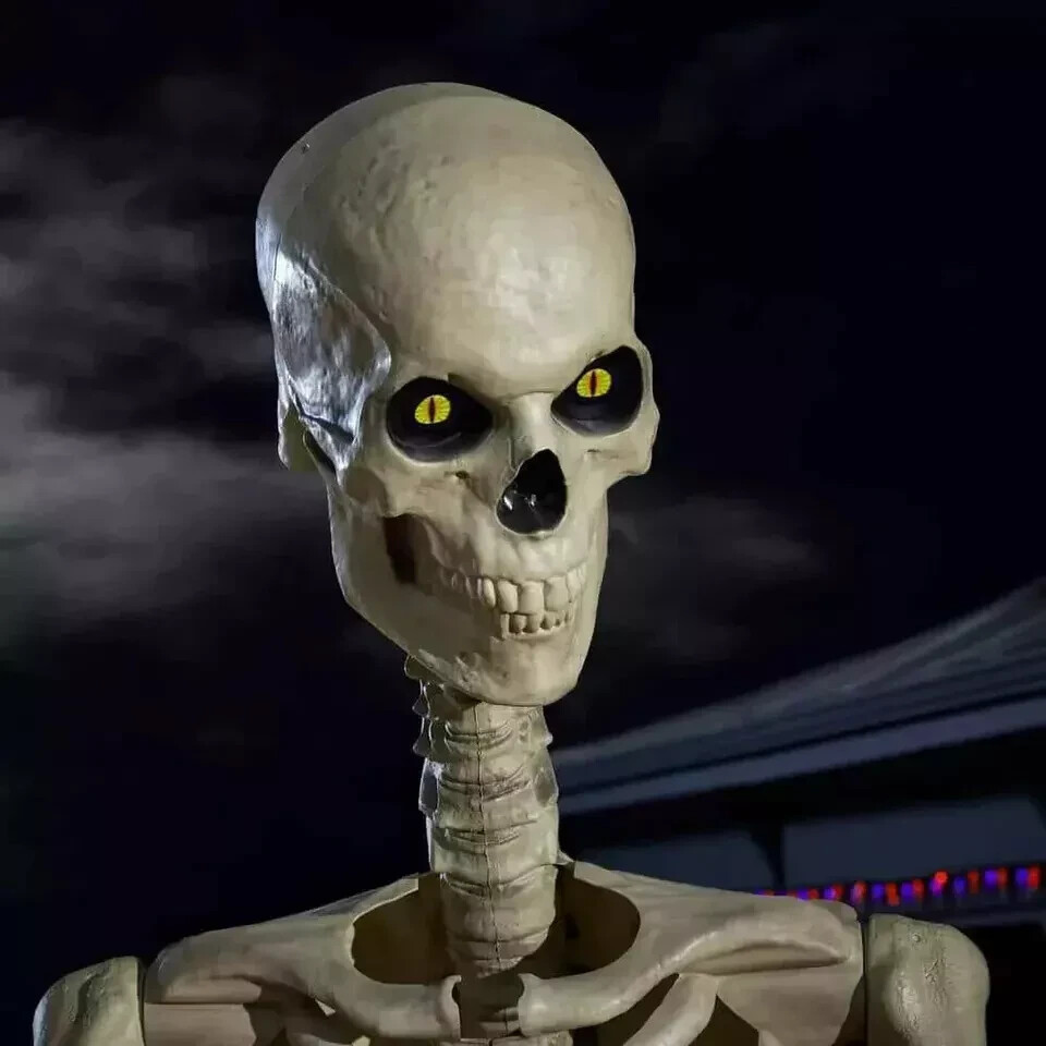 New in Box. Home Accents 12 Foot Giant Skeleton with LifeEyes from Home