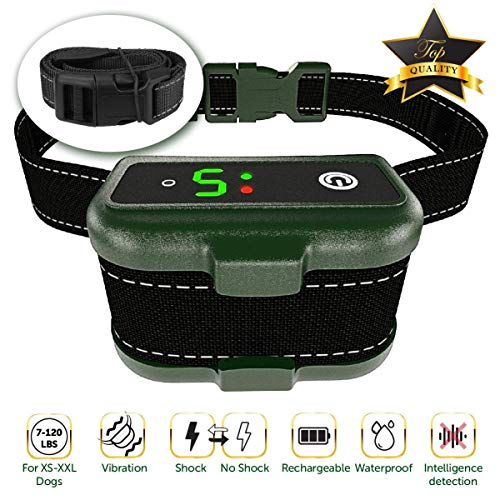 tbi dog training collar with remote