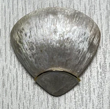 Vintage Art Nouveau Shell Textured Pearl White Gold Tone Accent Pin Brooch