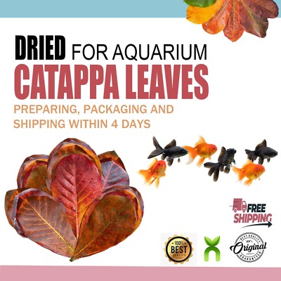 Dried Almond Leaves 100%Organic Catappa Leaf of Discus Betta Fish Aquarium care
