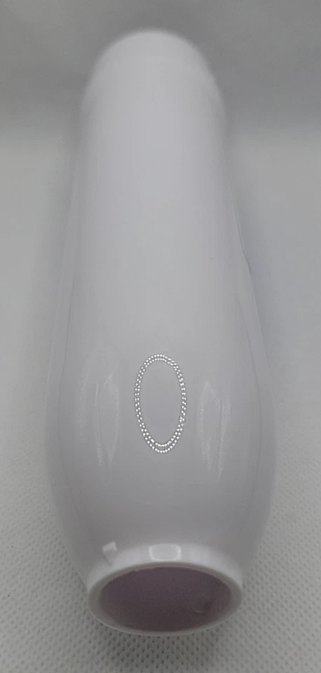 Piezas del sistema de cepillos Lysol Ready: el cuerpo solo puede soportar sin limpiador. Nuevo Foto 4 de 4