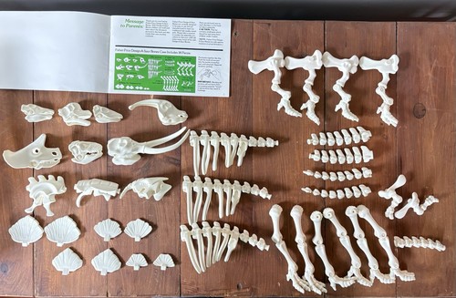 Fisher Price Design-A-Saur Bones Complete 38pc Dinosaur Bones Set w/Case 1989