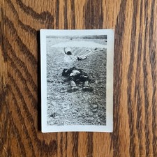 WWII Original Photo Dead Paratrooper Fallen Parachute Field Combat Casualty