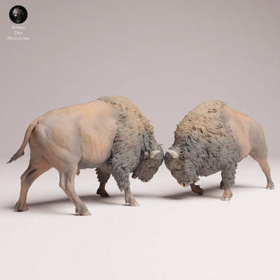 American Bison Fight Resin 3d printed Model Railroad Diorama Unpainted Animal