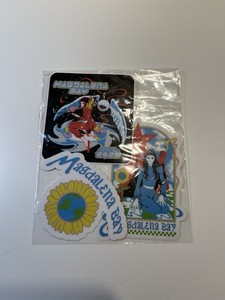 Magdalena Bay Imaginal Disk 2025 Tour Exclusive Sticker Pack Vinyl Stickers