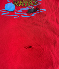 Bild 9 von 9