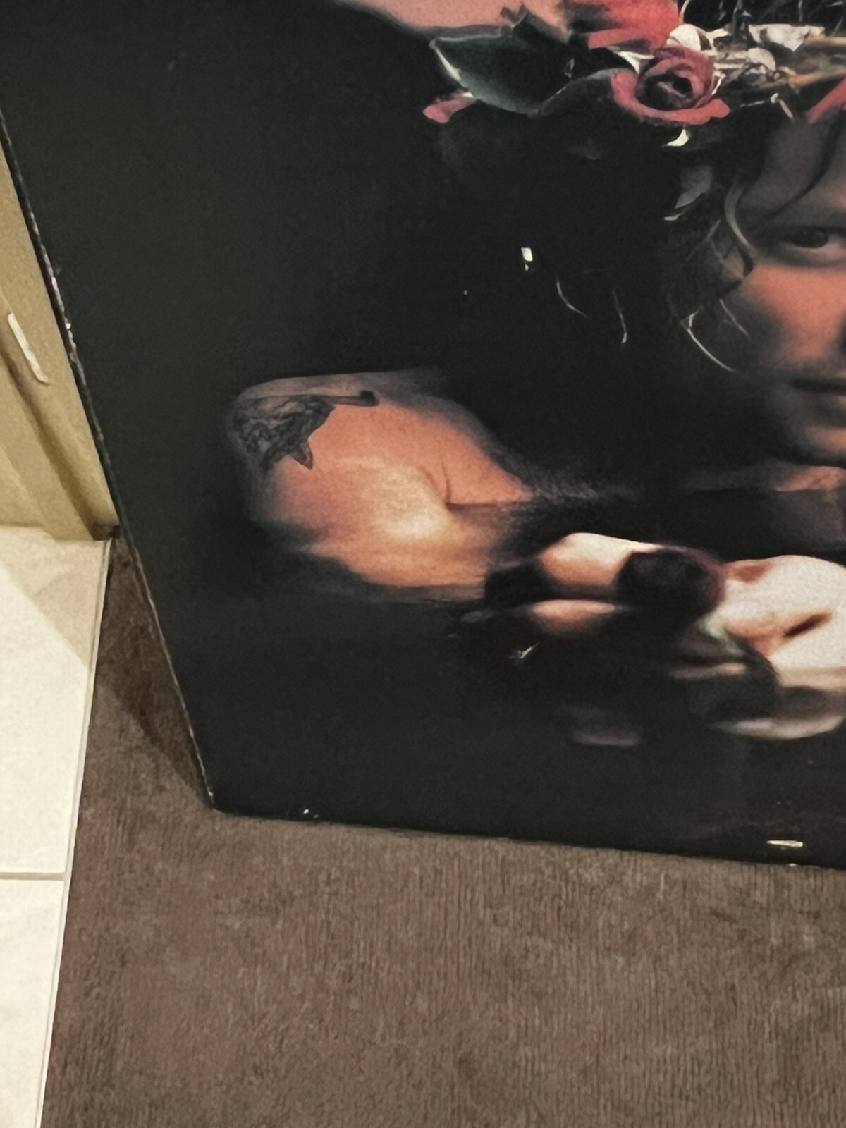 Picture 7 of 24