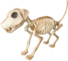 Full Body Dog Skeleton 18.5", Halloween Indoor Outdoor Decoration NEW