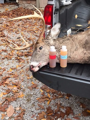 100% FRESH BUCK IN RUT URINE deer lure,deer pee, sent, rifle, Hunting,Archery
