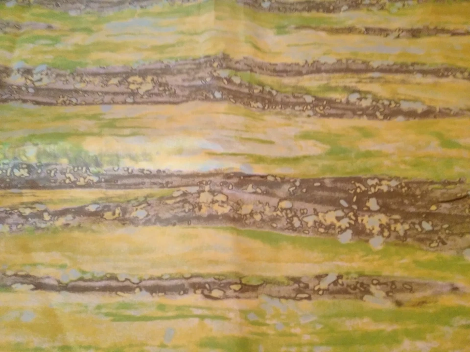 Fabric VINTAGE QUILTERS ONLY NATURE DYES Green 44x115" COTTON #4819 - Image 2 of 4