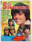 70's Tiger Beat Spectacular  + SPEC & Loving Fashions Magazine Osmond Partridge — photo 2