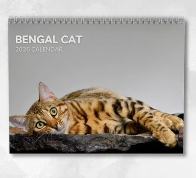 BOYCE PUBLISHING Bengal Cat Calendar 2026: Monthly Wall Calendar with Notes, opens to A3 Size