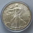 2005 American Silver Eagle 1 Troy Oz .999 Silver