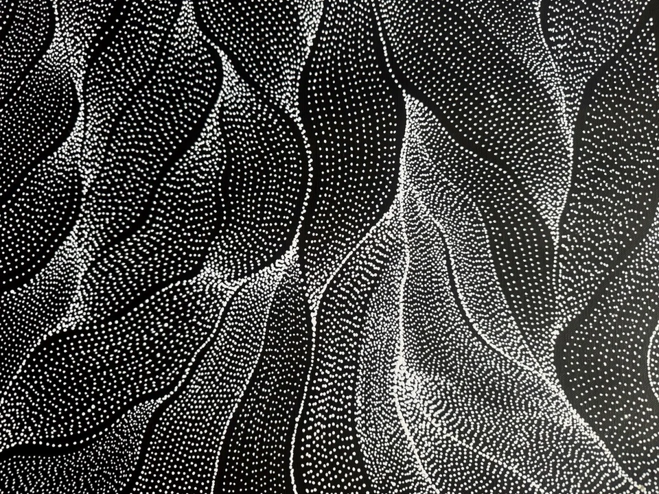 Anna Petyarre (Pitjara), arte aborigen altamente coleccionable. Inc, certificado de autenticidad y fotos Foto 2 de 4