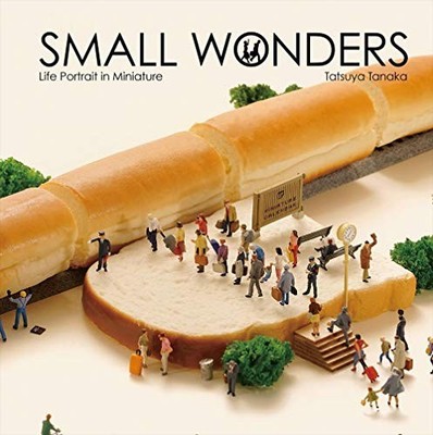 Tatsuya Tanaka Small Wonders Life Portrait in Miniature English ... book form JP